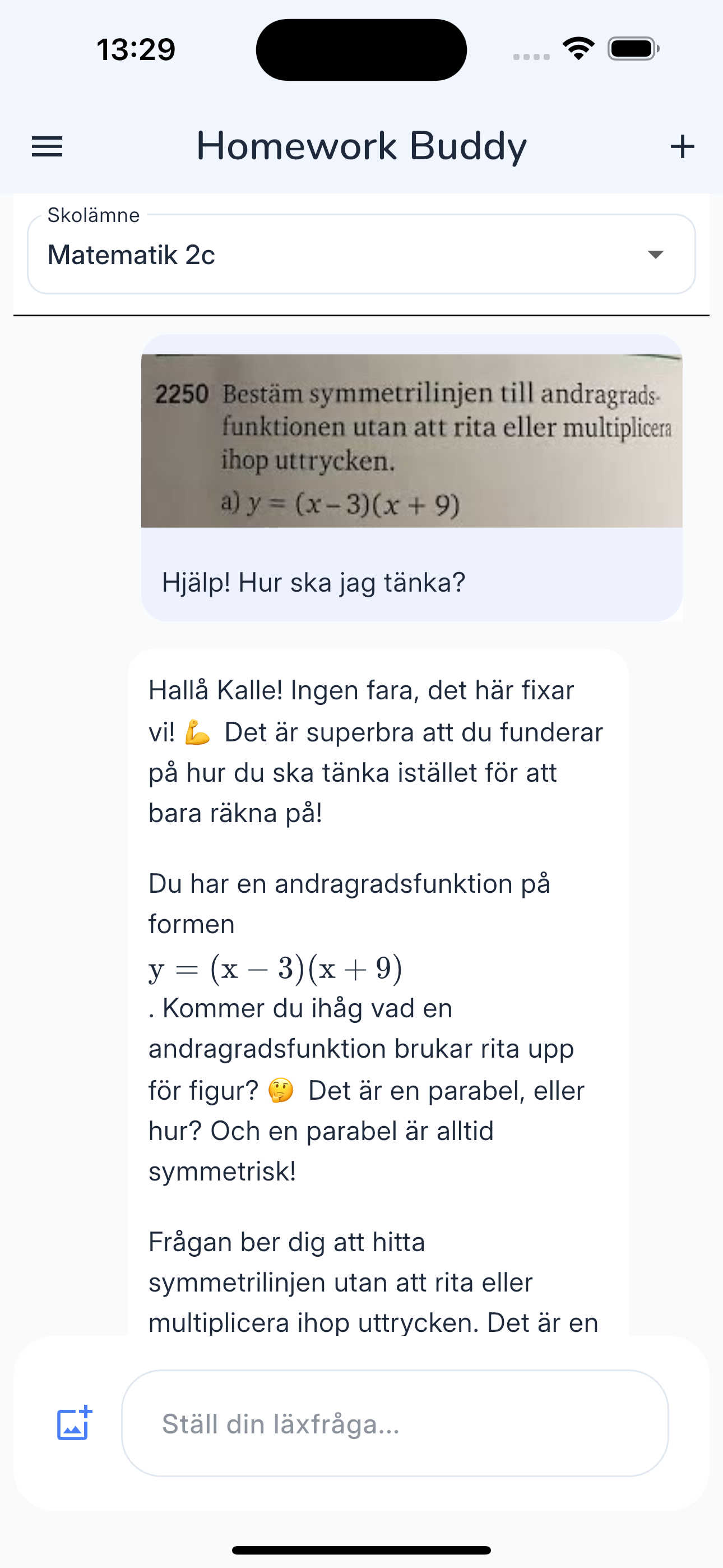 Homework Buddy Chat Interface